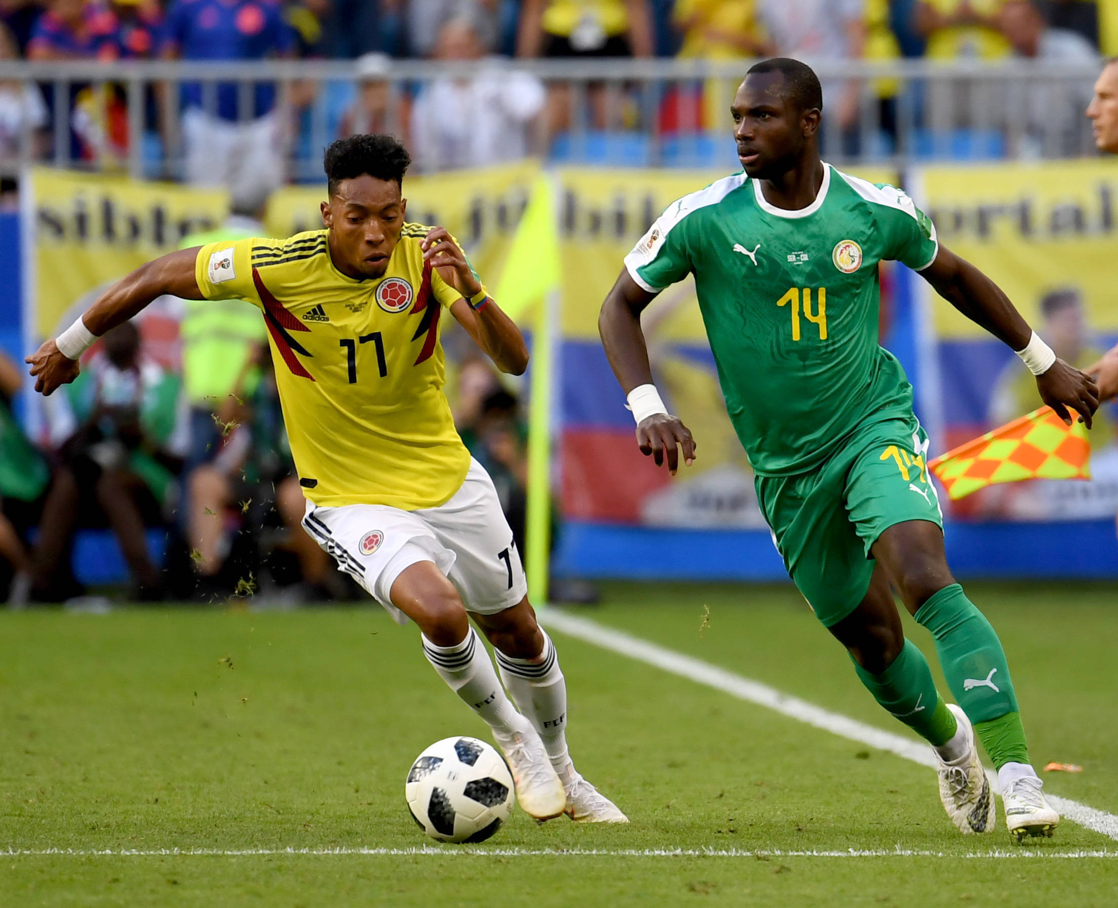 入了一针强 入了一针强