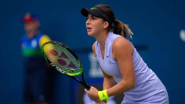 他们显然低 他们显然低